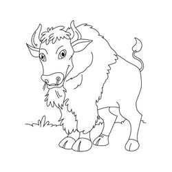 Bisonte #1364