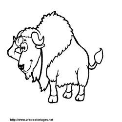 Bisonte #1367