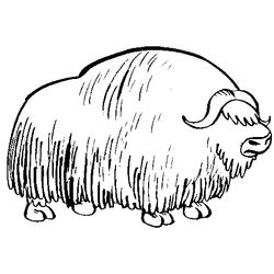 Bisonte #1369