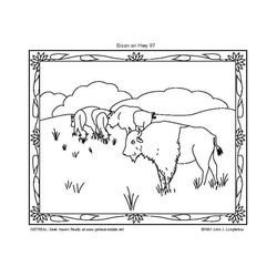Bisonte #1372