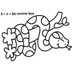 Boa #1376