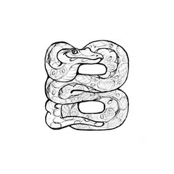 Boa #1382