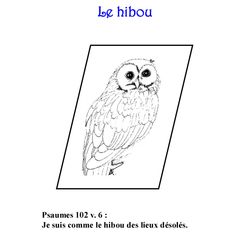 Búho #1484
