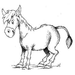 Burro #1509