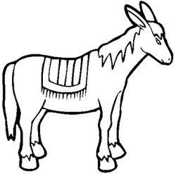 Burro #1510