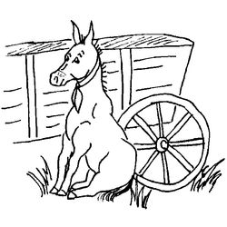 Burro #1518