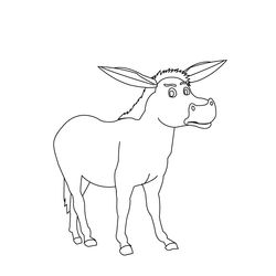 Burro #1520