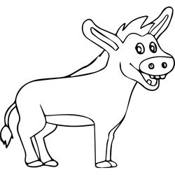 Burro #1521