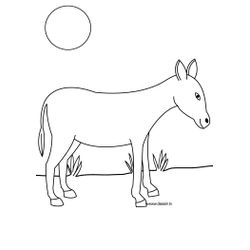 Burro #1524