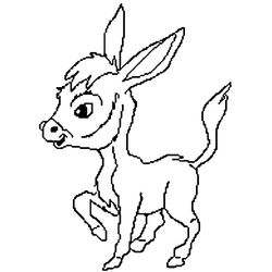 Burro #1525