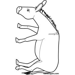 Burro #1526