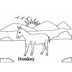 Burro #1527