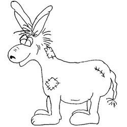 Burro #1528