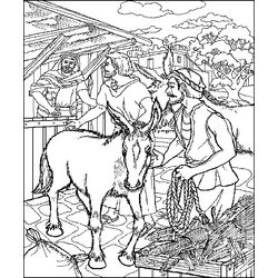 Burro #1530
