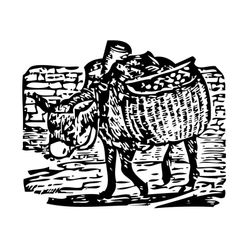 Burro #1535
