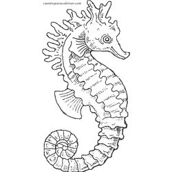 Caballito de mar #1541