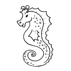 Caballito de mar #1544