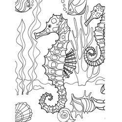 Caballito de mar #1547