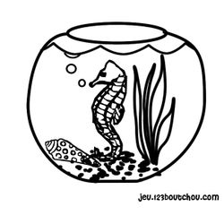 Caballito de mar #1556