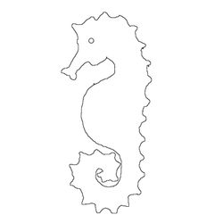 Caballito de mar #1566