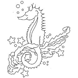 Caballito de mar #1580