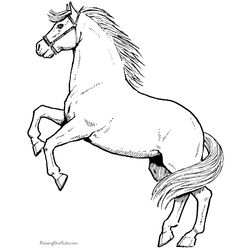 Caballo #1597