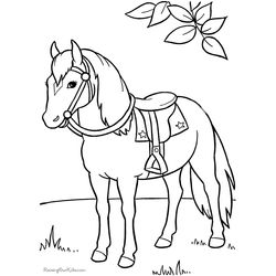 Caballo #1599