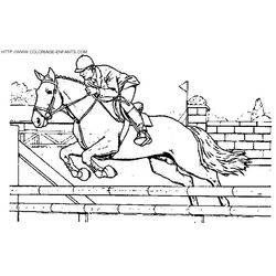 Caballo #1600