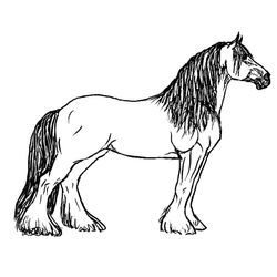 Caballo #1601