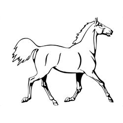 Caballo #1606