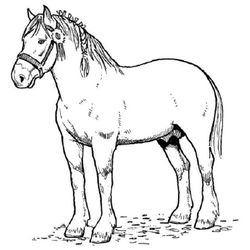 Caballo #1609
