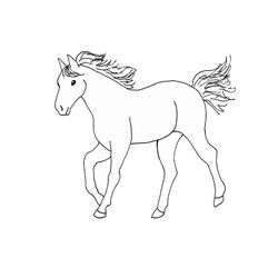 Caballo #1610