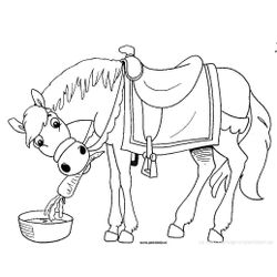 Caballo #1613