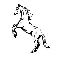 Caballo #1620