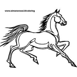 Caballo #1621