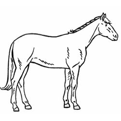 Caballo #1623