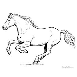 Caballo #1629