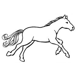 Caballo #1634
