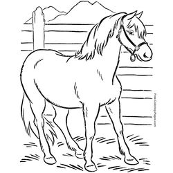 Caballo #1635