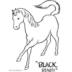 Caballo #1636