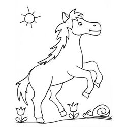 Caballo #1638
