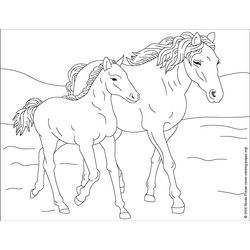 Caballo #1639