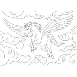 Caballo #1645