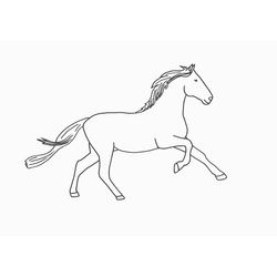 Caballo #1646