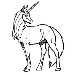 Caballo #1648