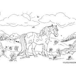 Caballo #1649