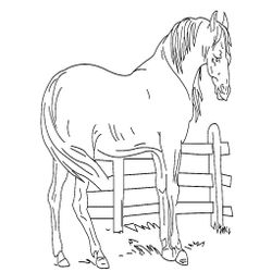 Caballo #1650