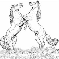 Caballo #1651