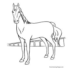 Caballo #1654