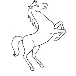 Caballo #1655